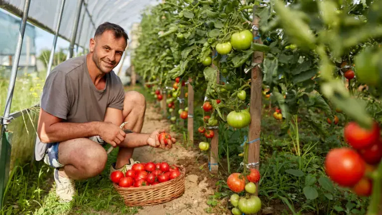 Réussir sa reconversion professionnelle avec France Travail (ex-Pole Emploi)